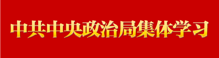 习近平在中共中央政治局第十五次集体学习时强调贯彻落实新时代党的建设总要求 进一步健全全面从严治党体系